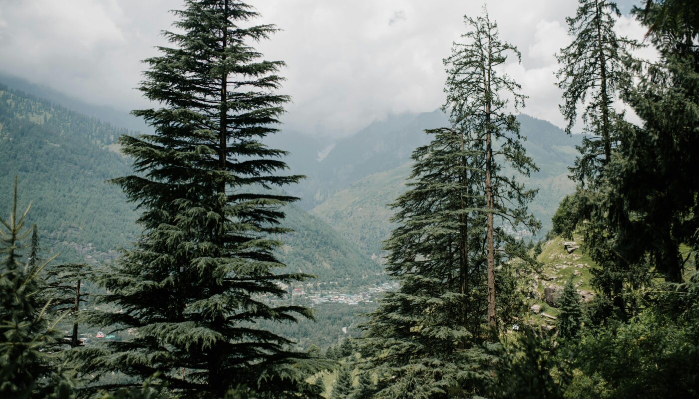 rang mahal chamba