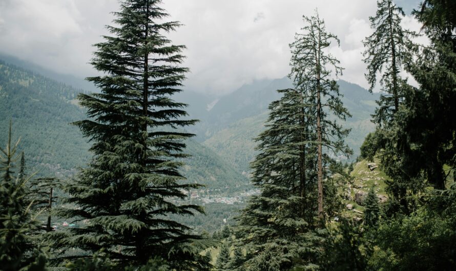 Rang Mahal Chamba- Architectural Splendor of Himachal Pradesh