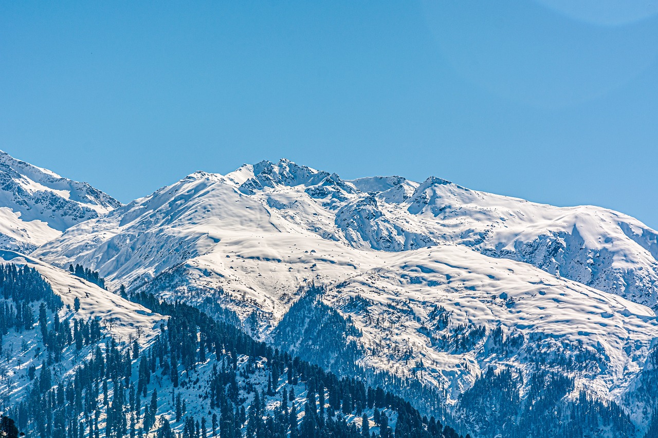 snow in india