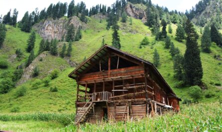 lolab valley in kashmir