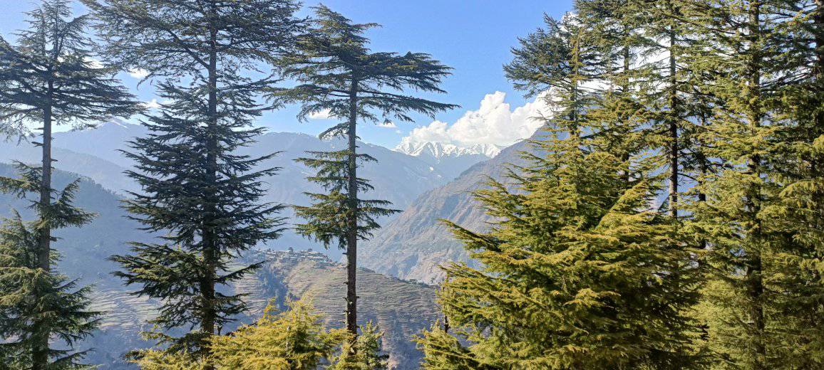 lug valley kullu