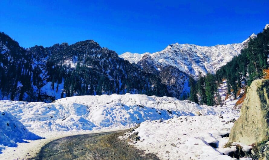 Mystical Meadows of Lamadugh Trek