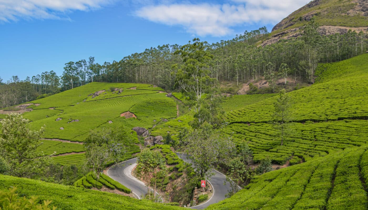 munnar