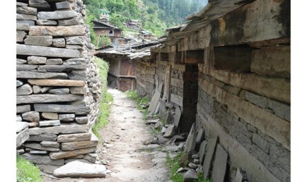 Jana village Manali