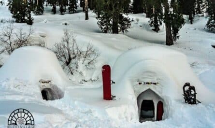 igloo village manali