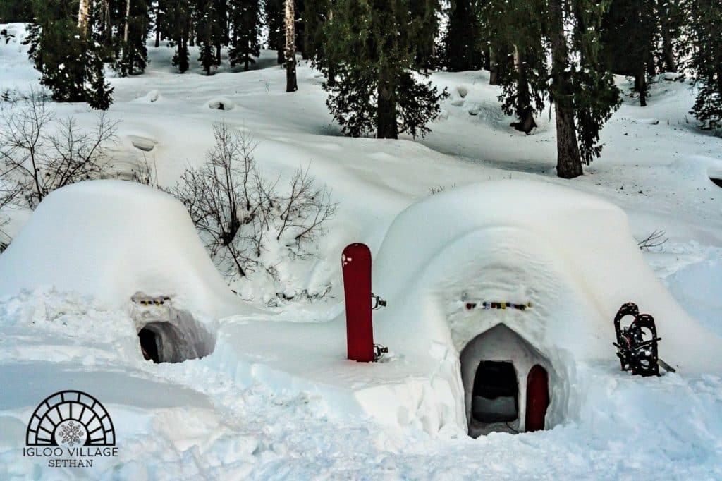igloo village manali