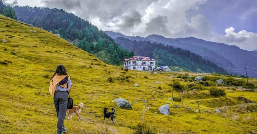 Barot Valley Himachal Pradesh village view surrounded by dense pine forests and blue sky